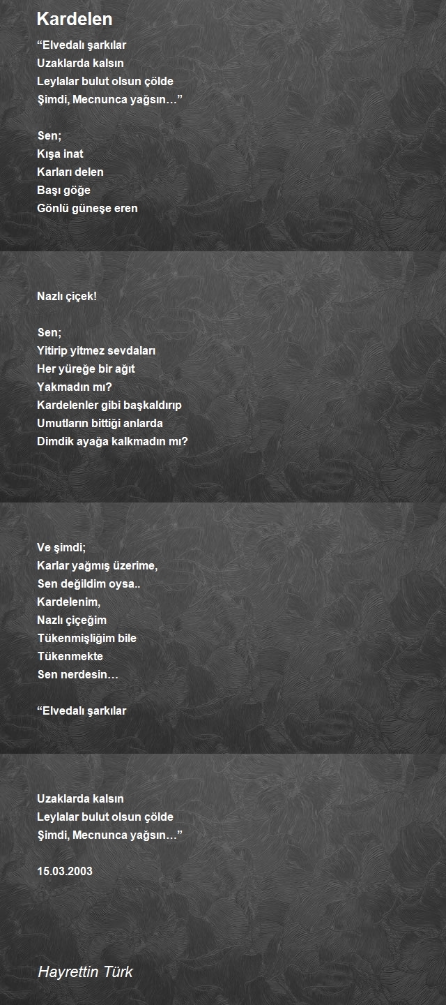Hayrettin Türk