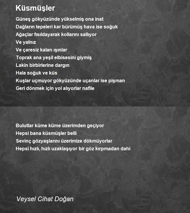 Veysel Cihat Doğan