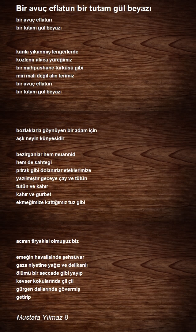 Mustafa Yılmaz 8