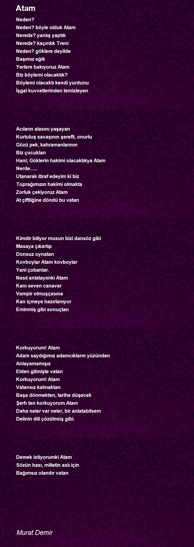 Murat Demir