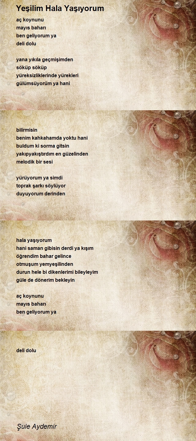 Şule Aydemir