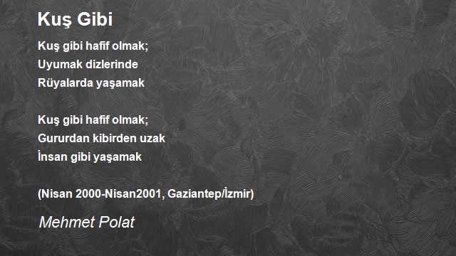 Mehmet Polat
