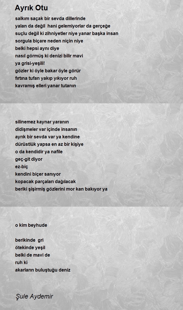 Şule Aydemir