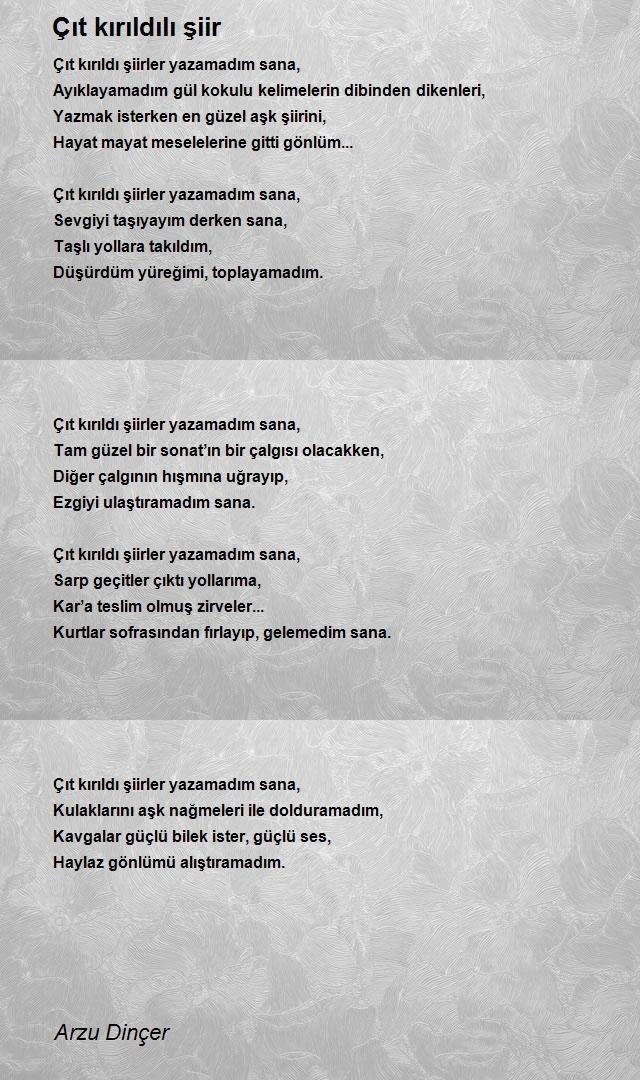Arzu Dinçer
