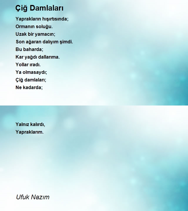 Ufuk Nazım