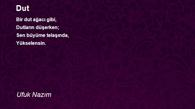 Ufuk Nazım