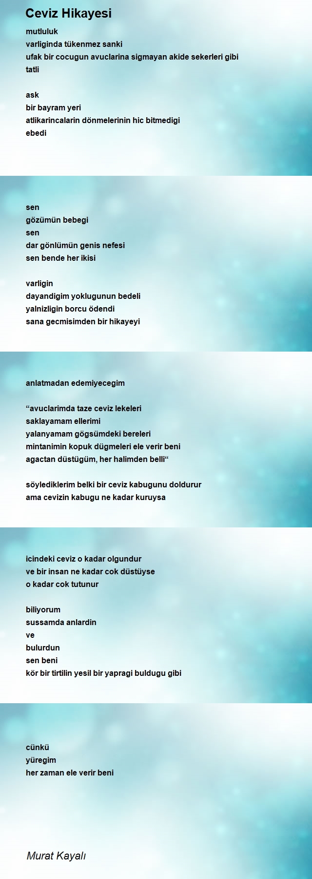 Murat Kayalı
