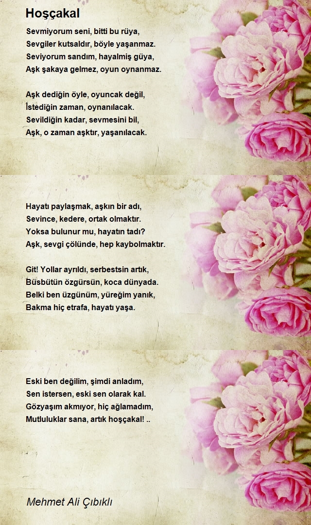 Mehmet Ali Çıbıklı