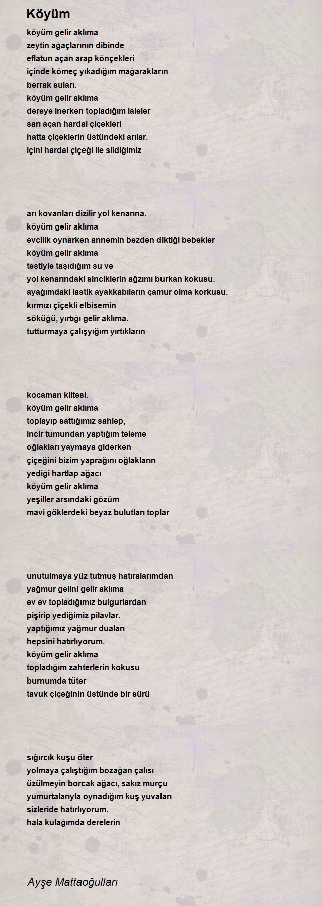 Ayşe Mattaoğulları