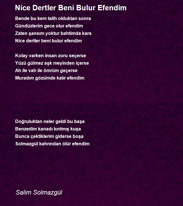 Salim Solmazgül