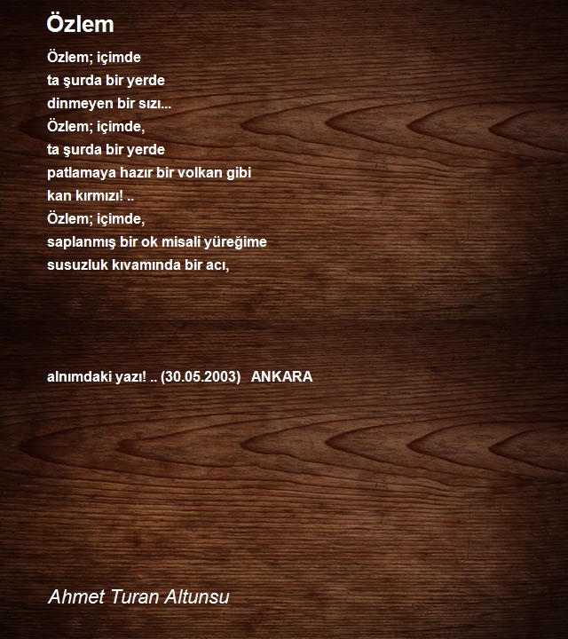 Ahmet Turan Altunsu