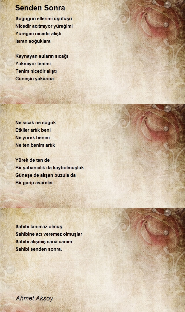 Ahmet Aksoy