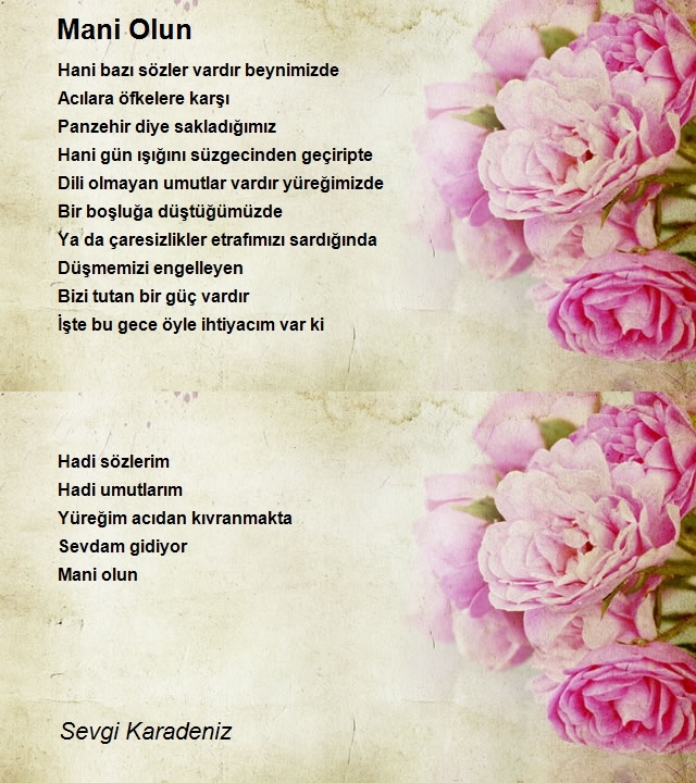 Sevgi Karadeniz