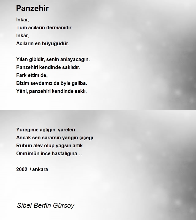 Sibel Berfin Gürsoy