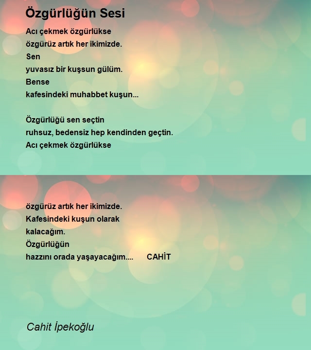 Cahit İpekoğlu