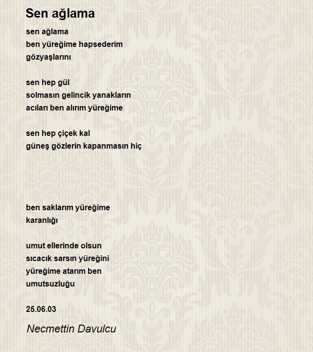 Necmettin Davulcu