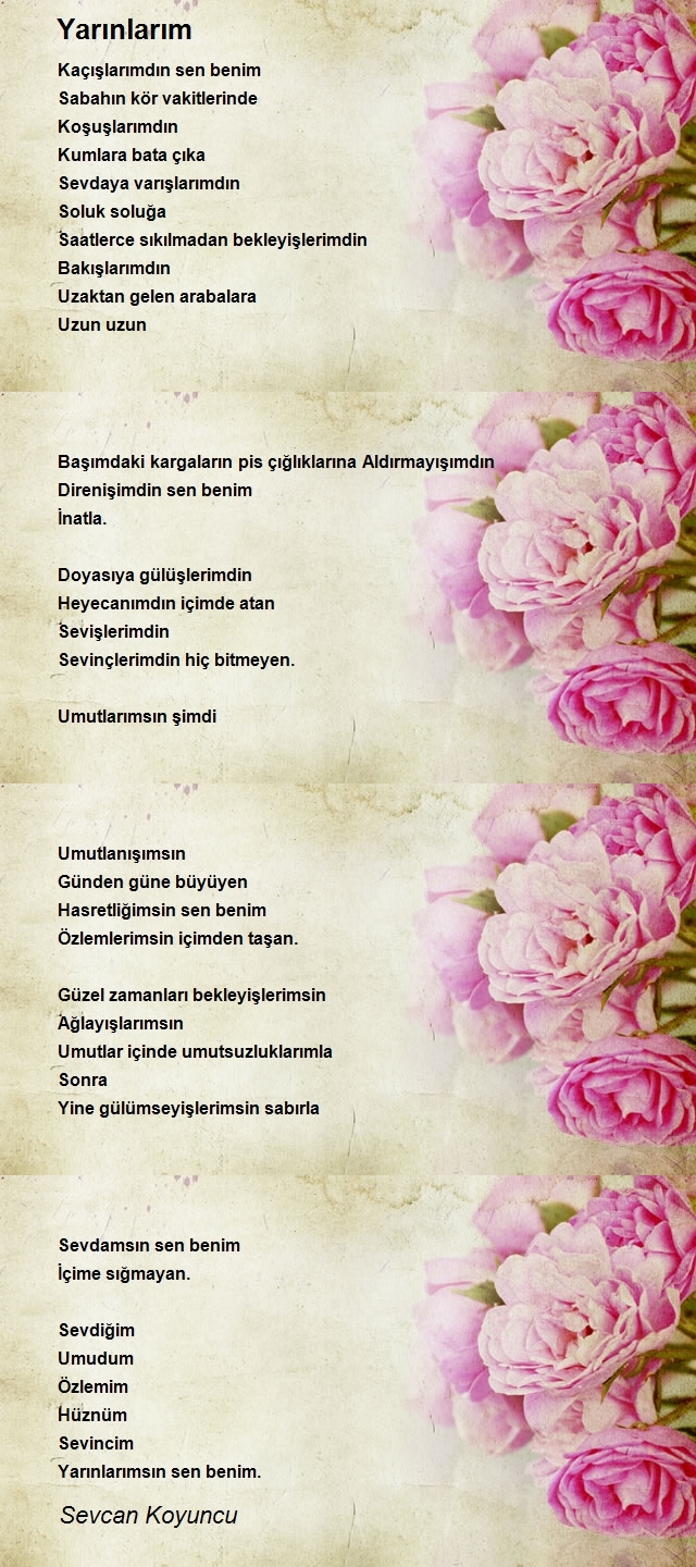 Sevcan Koyuncu