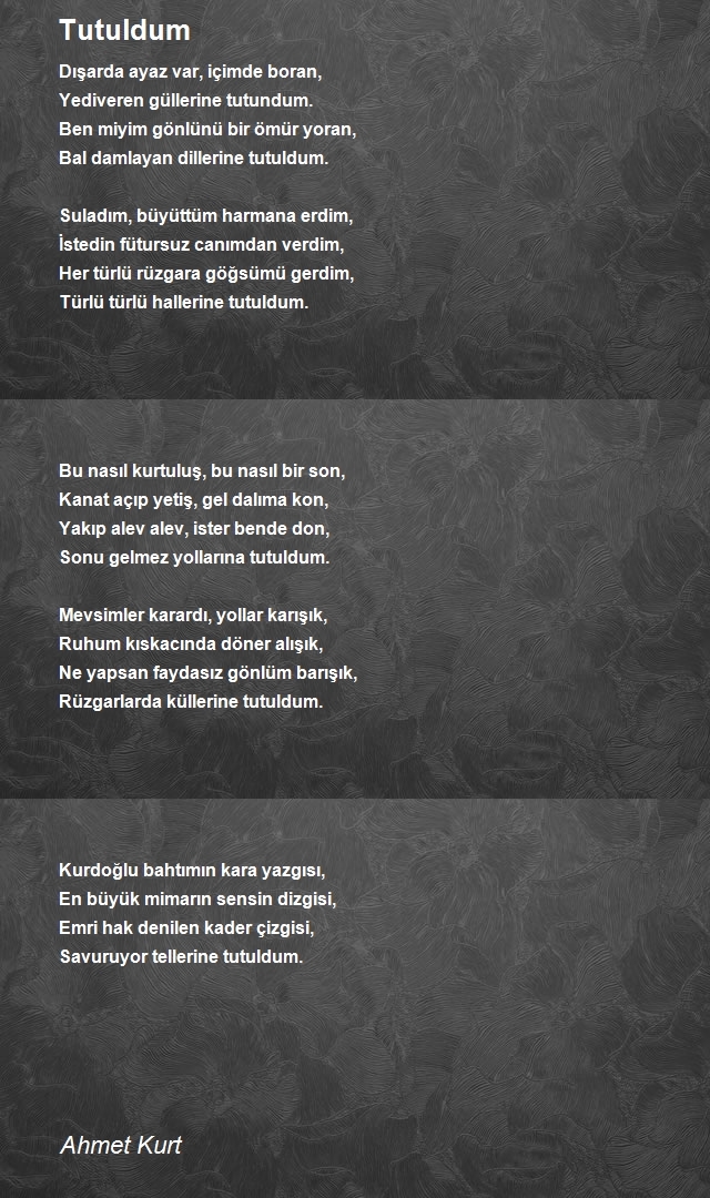 Ahmet Kurt