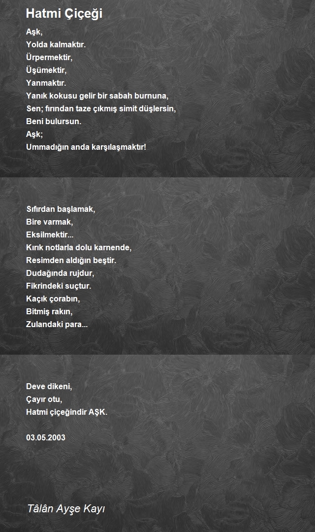 Tâlân Ayşe Kayı