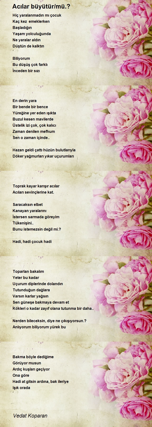 Vedat Koparan