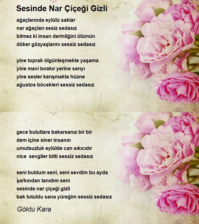Göktu Kara