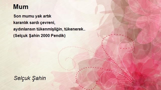 Selçuk Şahin