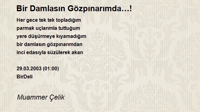 Muammer Çelik