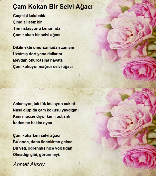 Ahmet Aksoy