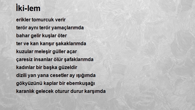 Serkan Doğan