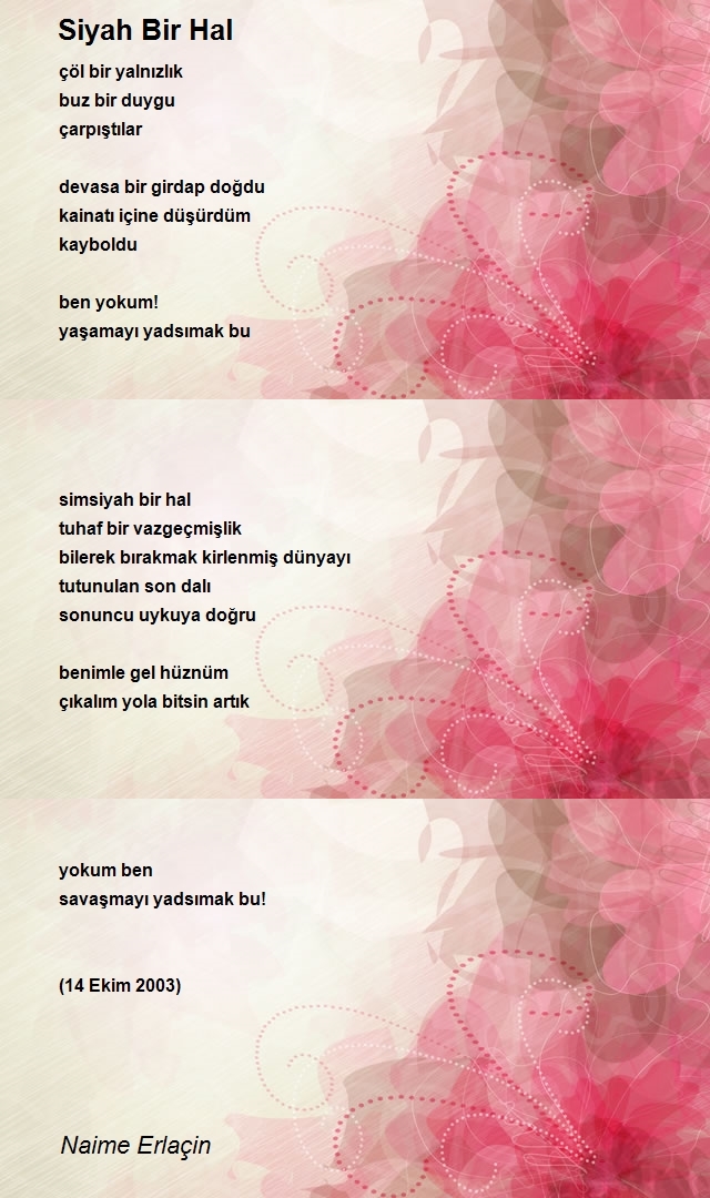 Naime Erlaçin
