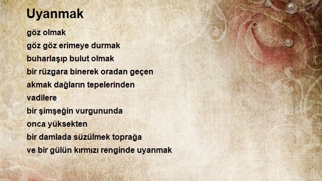 Cumhur Turan