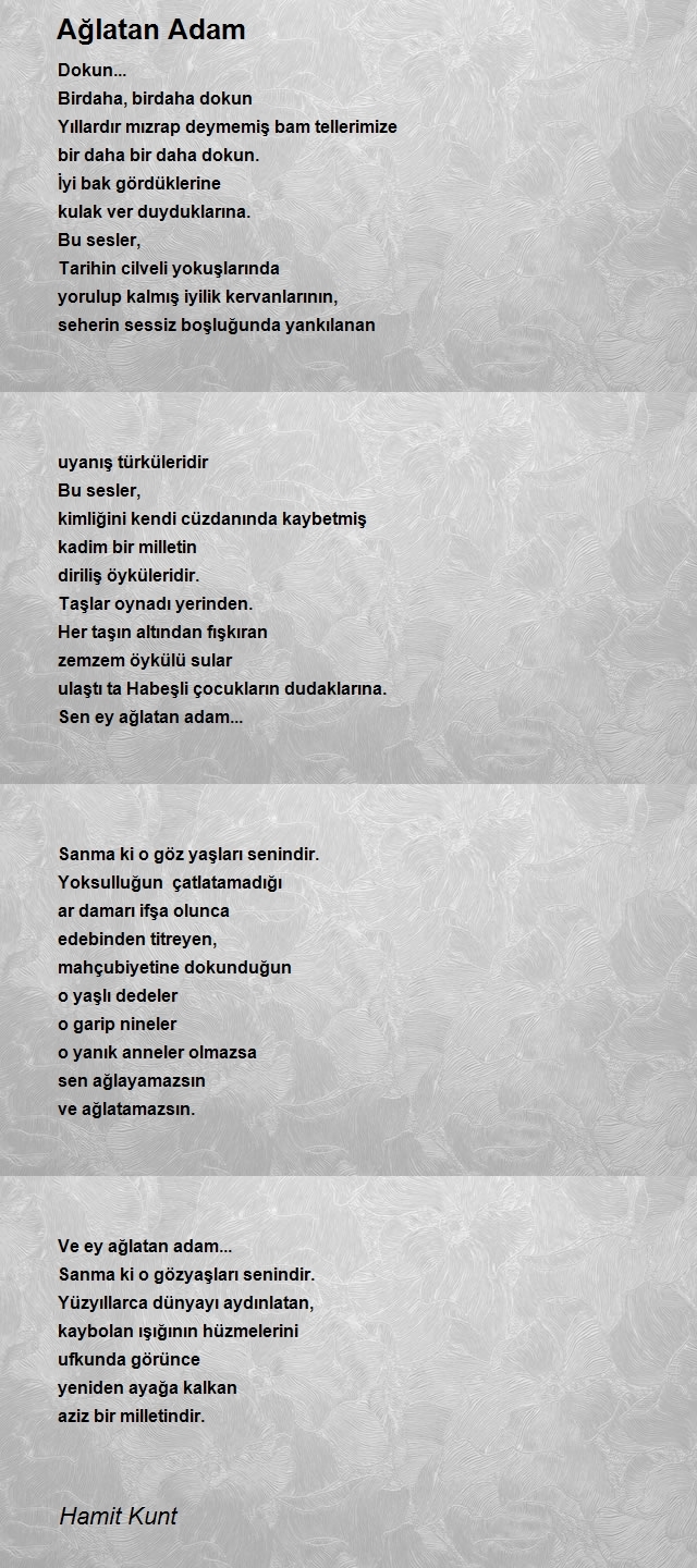 Hamit Kunt