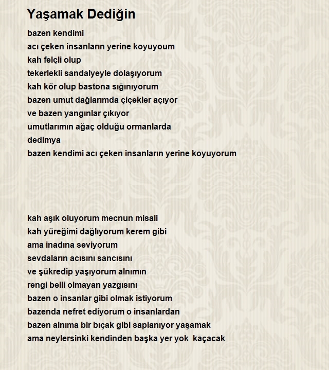 Fatih Çınar