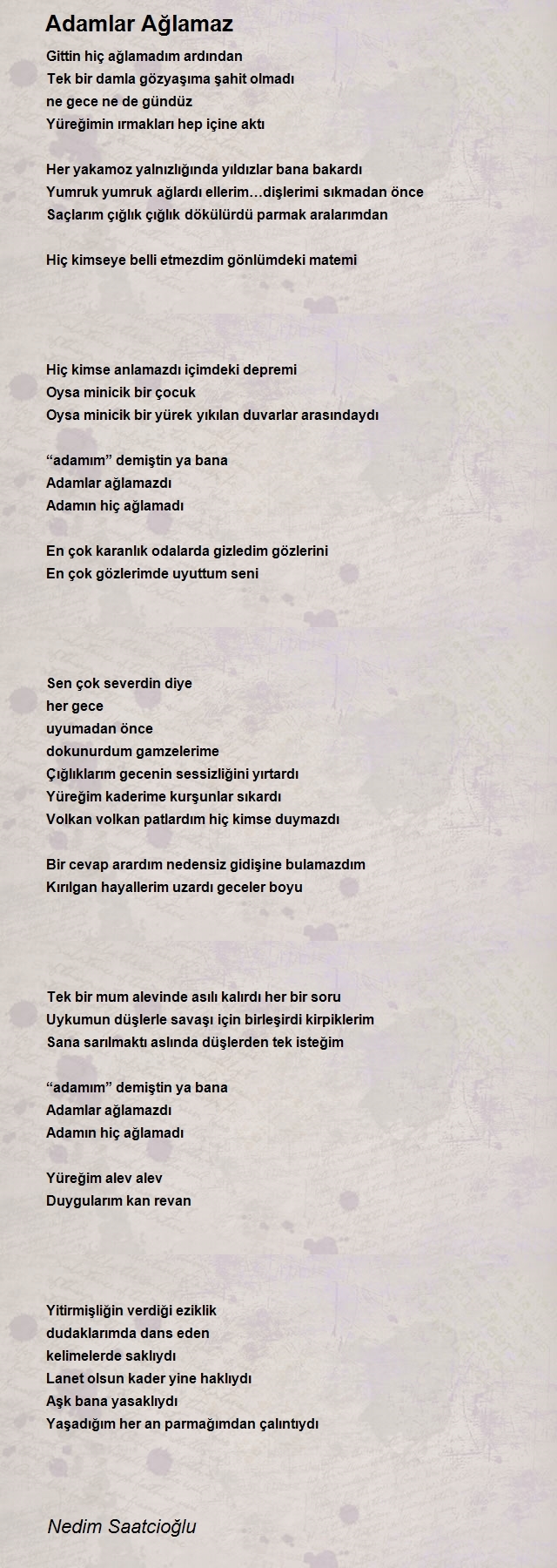 Nedim Saatcioğlu