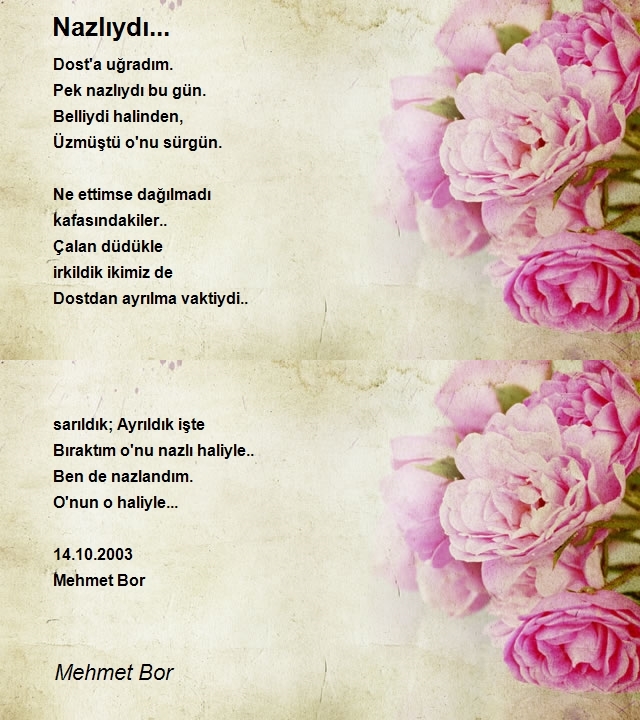 Mehmet Bor