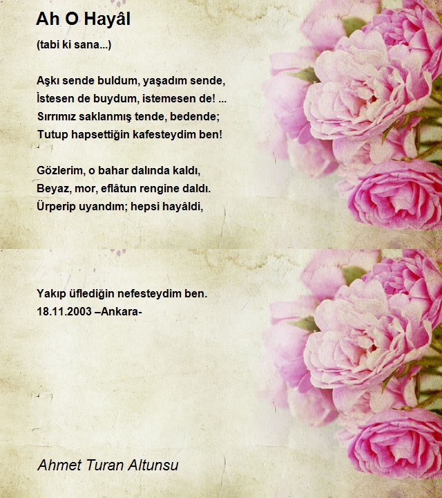 Ahmet Turan Altunsu