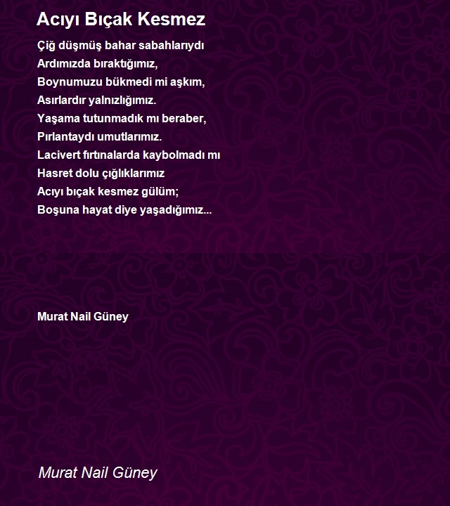 Murat Nail Güney