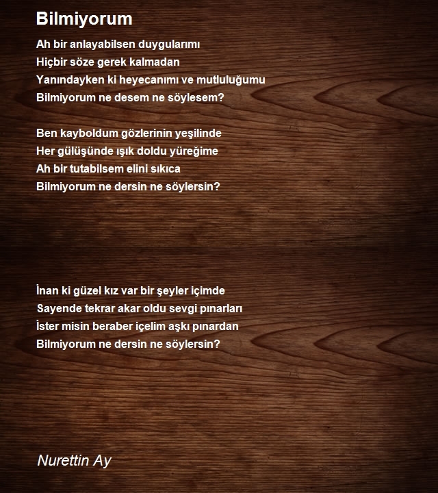 Nurettin Ay