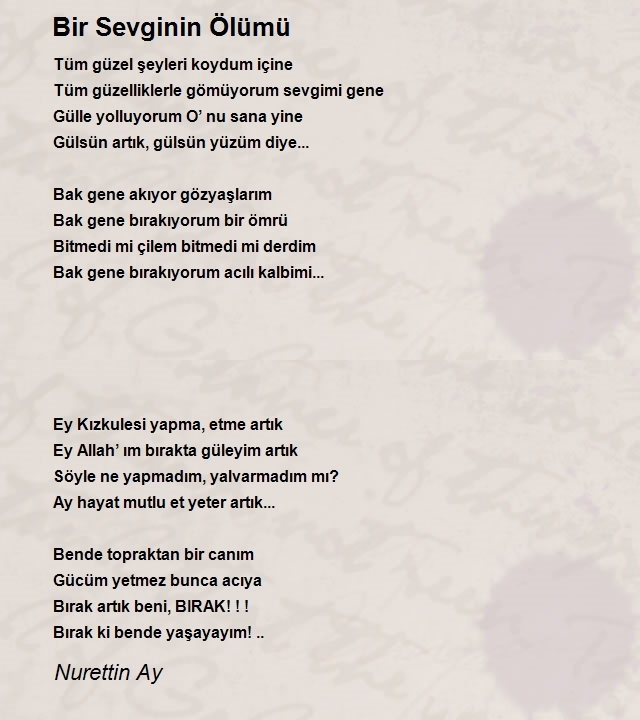 Nurettin Ay