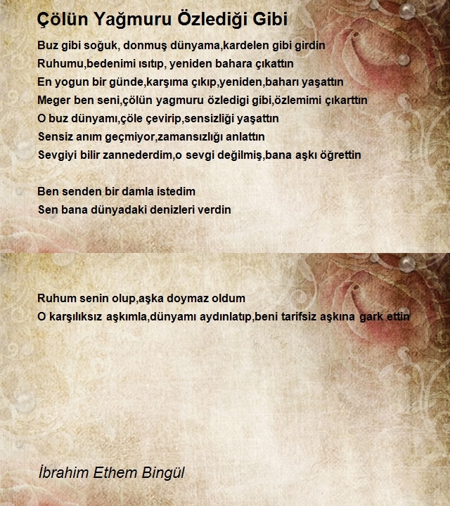 İbrahim Ethem Bingül