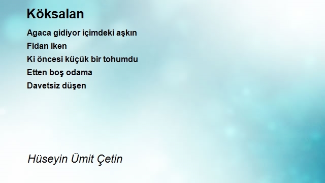 Hüseyin Ümit Çetin