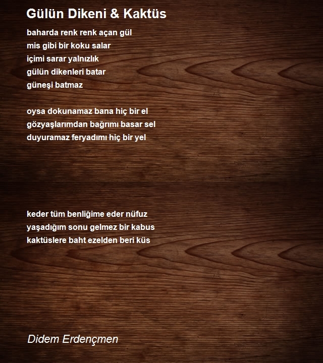 Didem Erdençmen