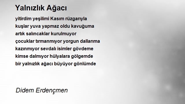 Didem Erdençmen