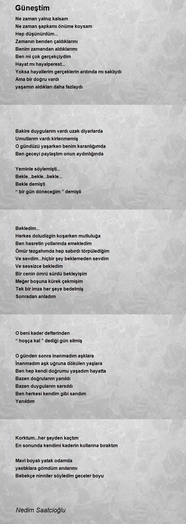 Nedim Saatcioğlu