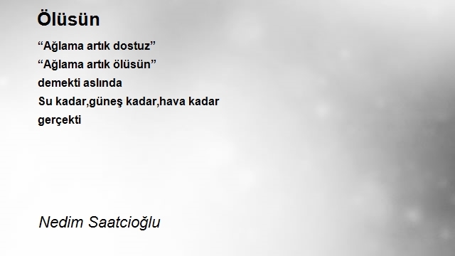 Nedim Saatcioğlu