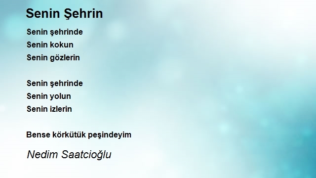 Nedim Saatcioğlu