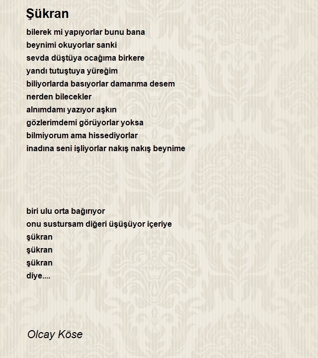 Olcay Köse