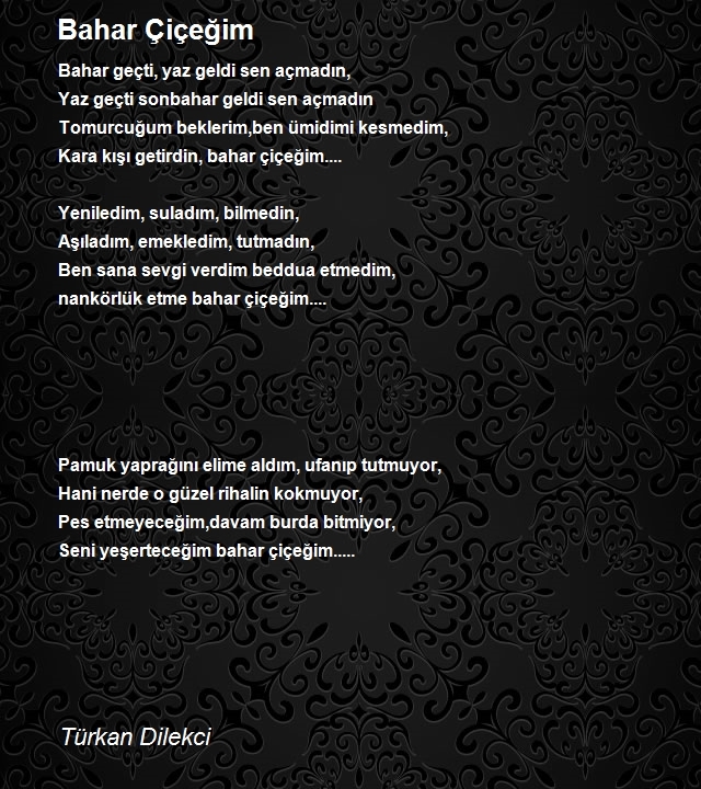 Türkan Dilekci