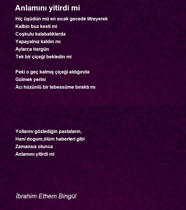 İbrahim Ethem Bingül