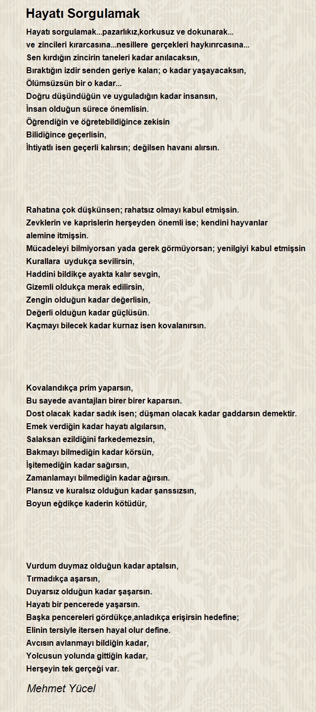 Mehmet Yücel